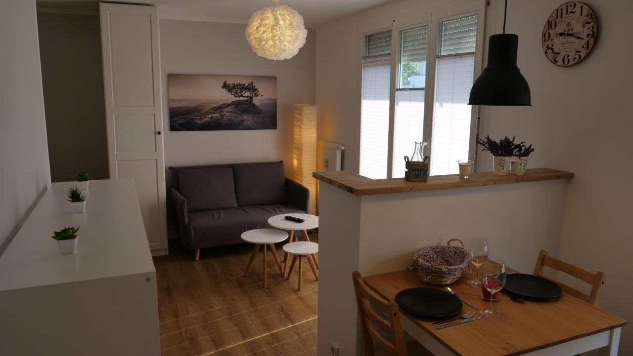 Apartment Gottleubapark *